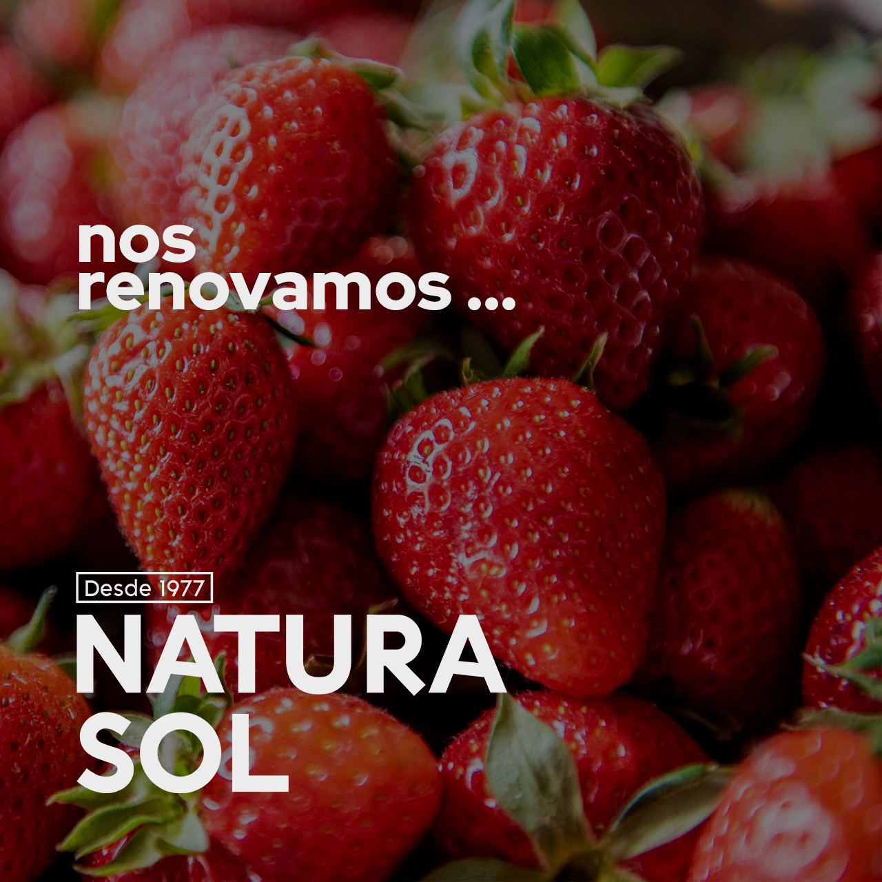 Naturasol